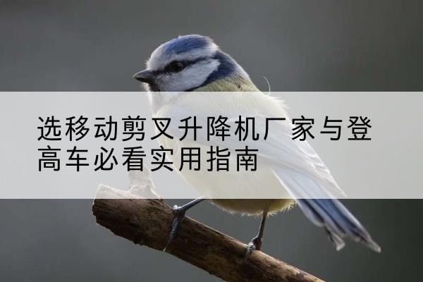 禹城电动升降机厂家-选移动剪叉升降机厂家与登高车必看实用指南