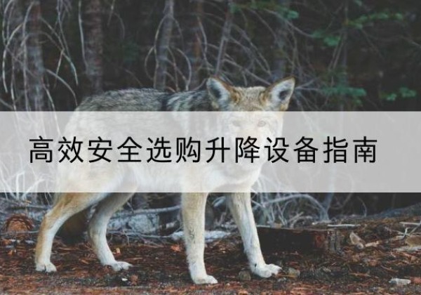 禹城升降货梯厂家推荐-*安全选购升降设备指南