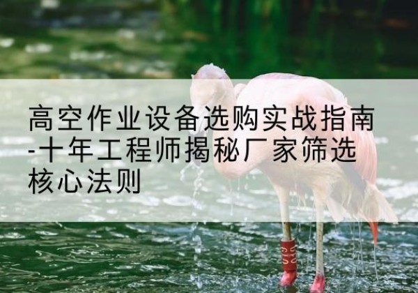 禹城剪叉式升降机厂家-高空作业设备选购实战指南-十年工程师揭秘厂家筛选核心法则